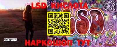 прущие грибы Можайск