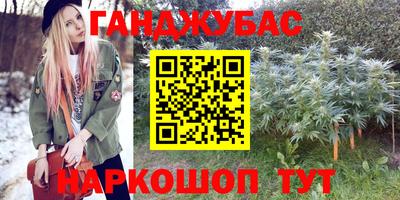 прущие грибы Можайск