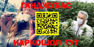 прущие грибы Можайск