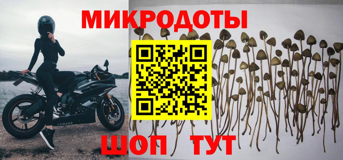 Псилоцибиновые грибы MAGIC MUSHROOMS  Вход с VPN  Галлюциногенные грибы Psilocybe  Чайковский 