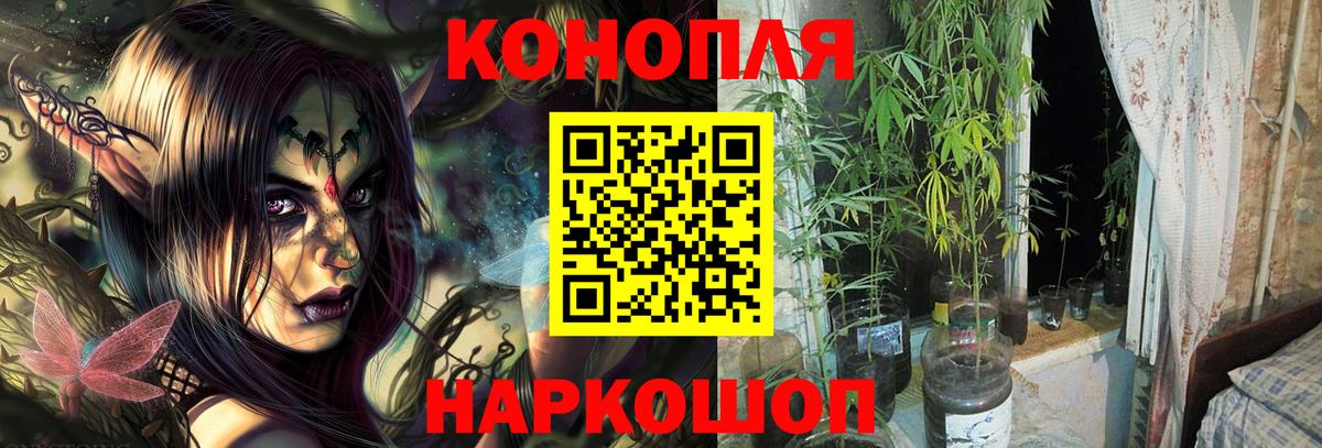 МАРИХУАНА OG Kush  МАРИХУАНА Bruce Banner  Канабис план  Канабис LSD WEED  Чайковский  Вход с VPN 